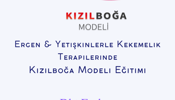 Ergen ve Yetişkin Kekemeliğinde Kızılboğa Modeli / Kasım 2024