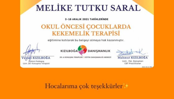 İNSTAGRAM GERİ DÖNÜTLER